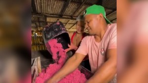 Farinha rosa de mandioca chama atenção nas redes sociais