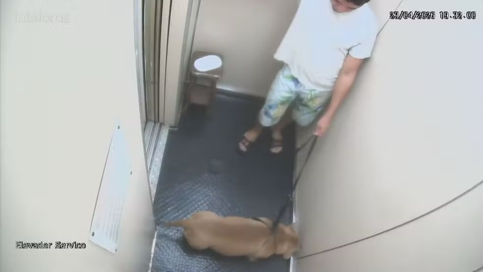 Homem é denunciado por matar o próprio cão afogado no mar em Copacabana