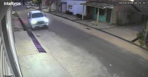 Polícia identifica suspeito de atropelar e abandonar cão em Abaetetuba