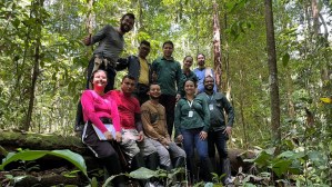 Na Amazônia, Agropalma hospeda monitoramento científico 24h para proteger recursos hídricos